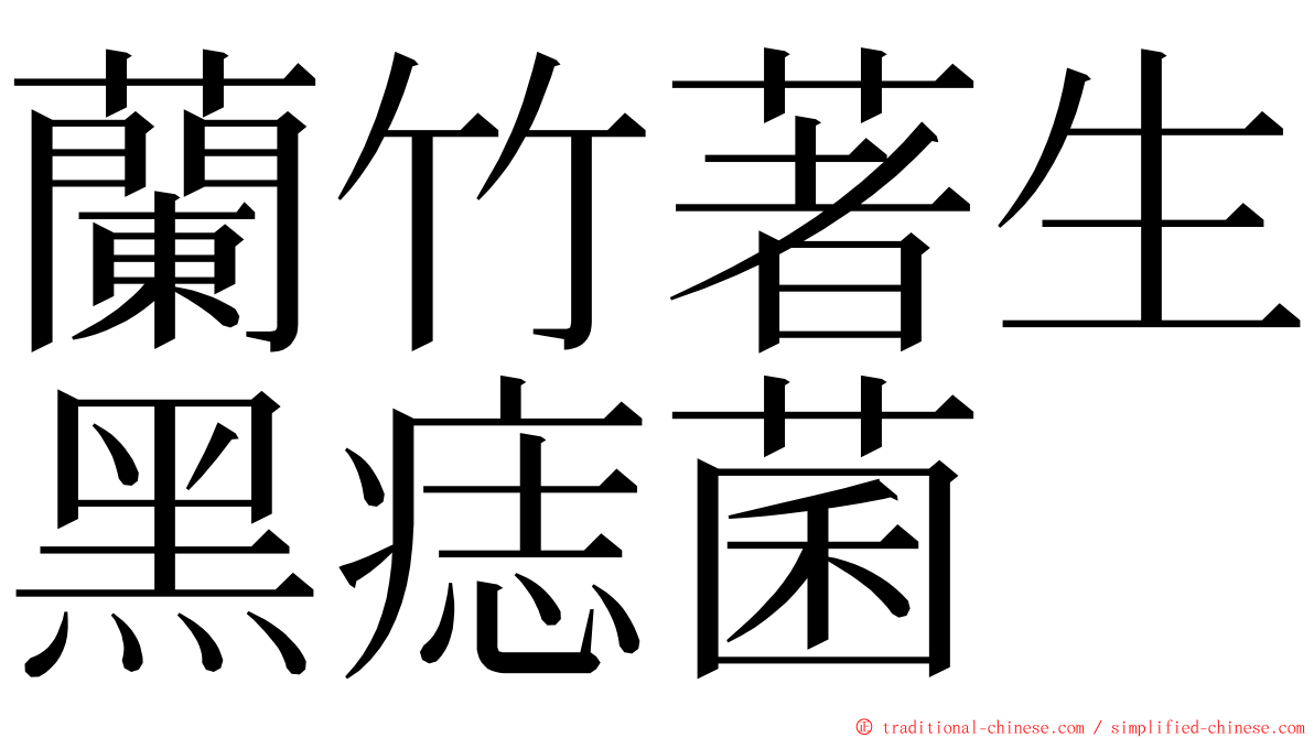 蘭竹著生黑痣菌 ming font