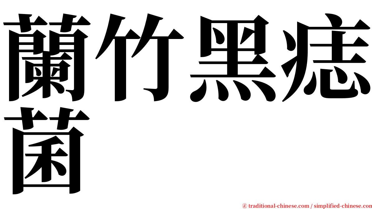 蘭竹黑痣菌 serif font