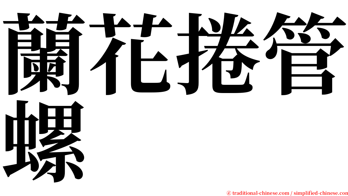 蘭花捲管螺 serif font