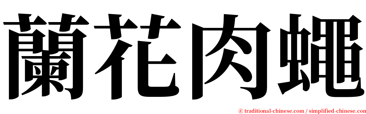 蘭花肉蠅 serif font