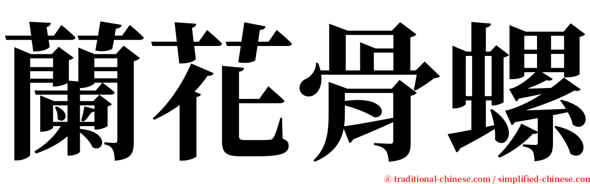 蘭花骨螺 serif font