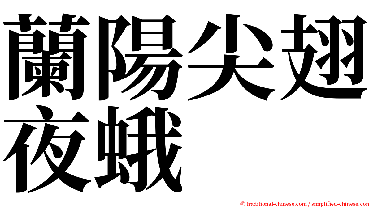 蘭陽尖翅夜蛾 serif font