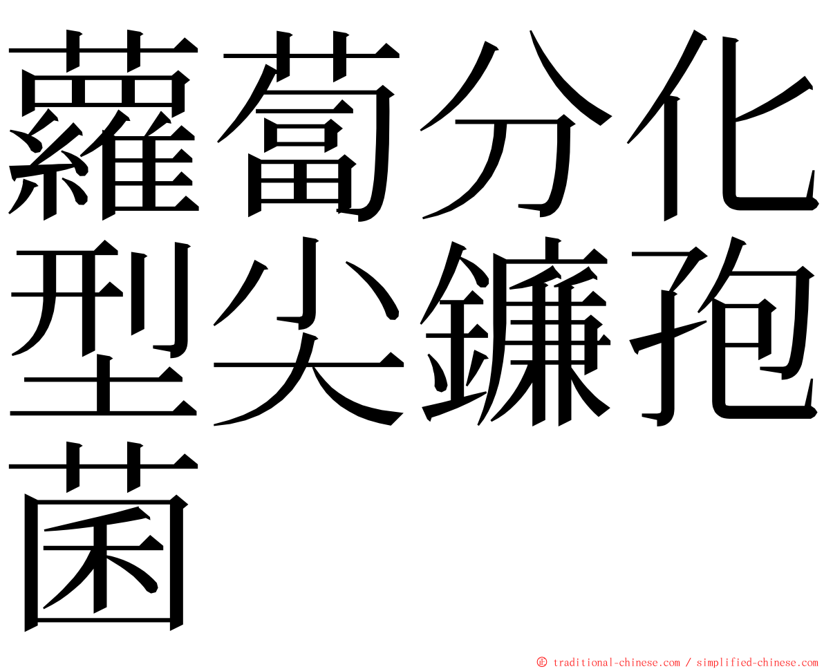 蘿蔔分化型尖鐮孢菌 ming font