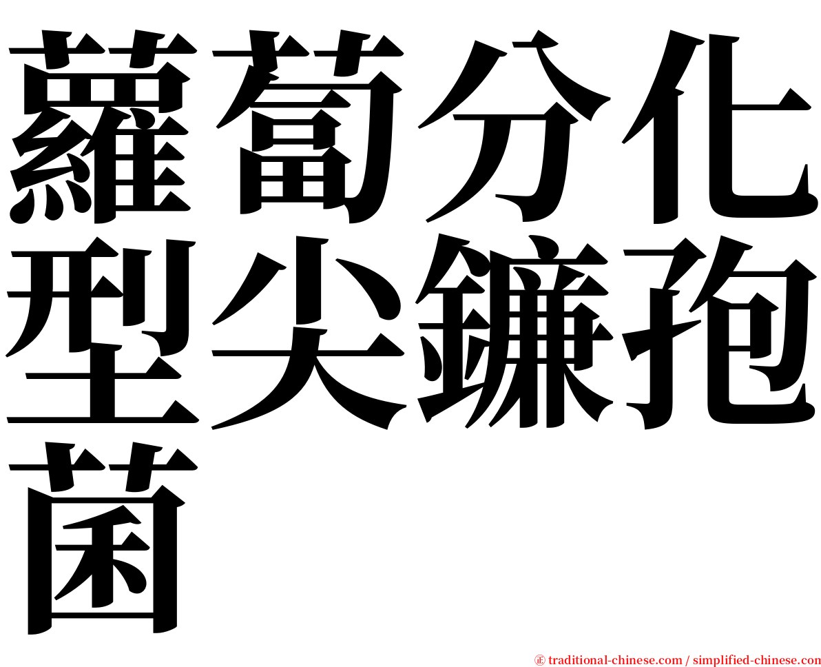 蘿蔔分化型尖鐮孢菌 serif font