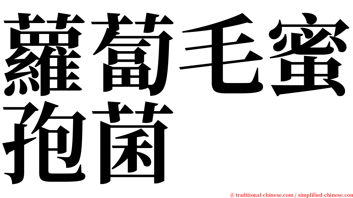 蘿蔔毛蜜孢菌 serif font