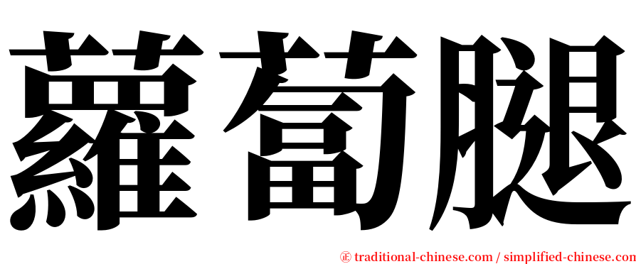 蘿蔔腿 serif font