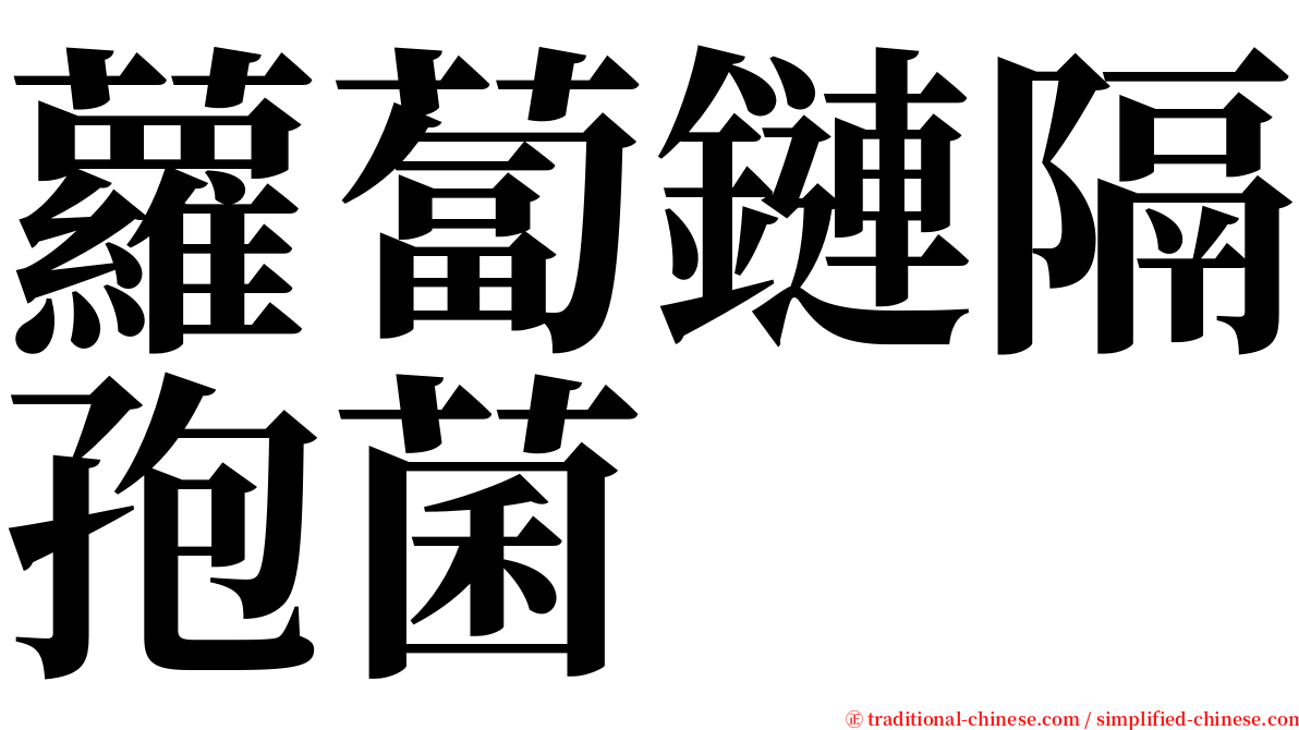 蘿蔔鏈隔孢菌 serif font