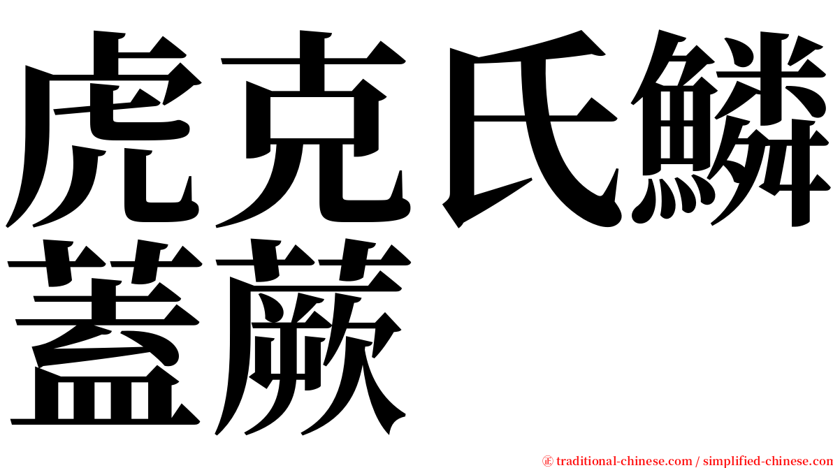 虎克氏鱗蓋蕨 serif font