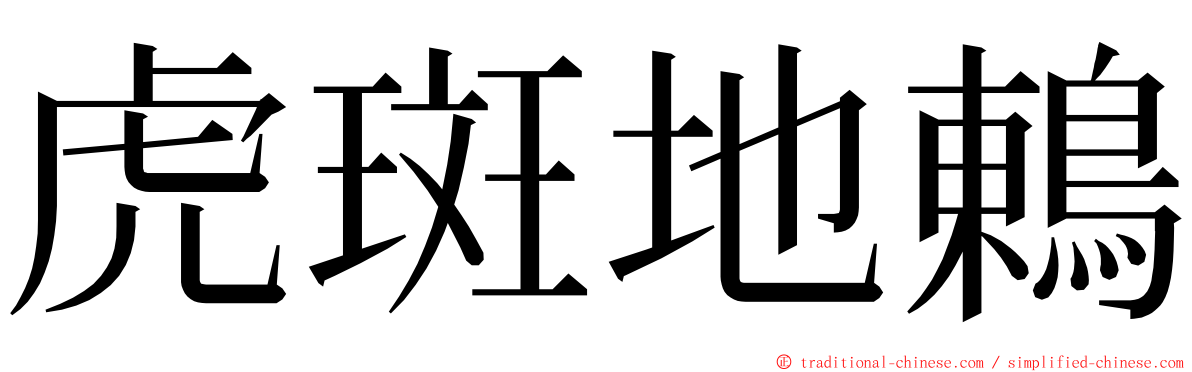 虎斑地鶇 ming font