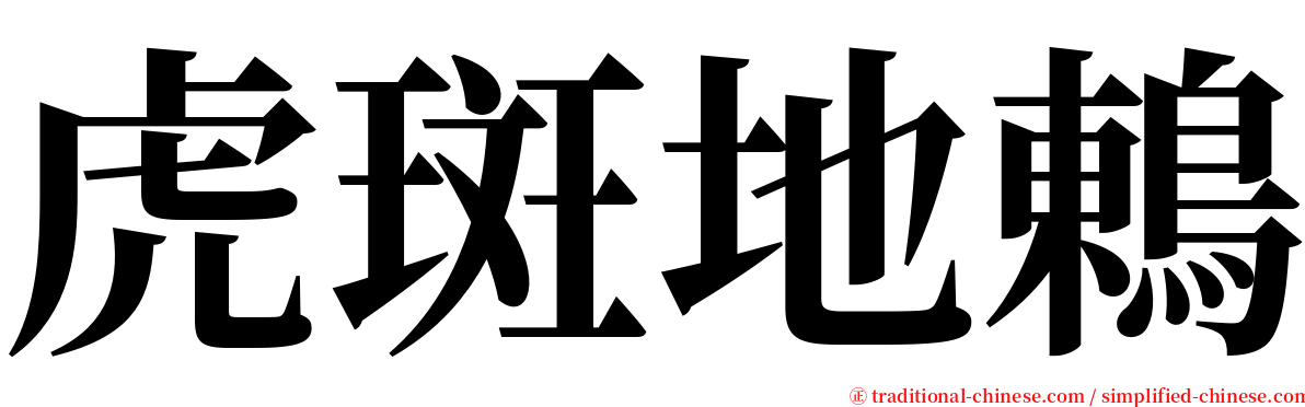 虎斑地鶇 serif font