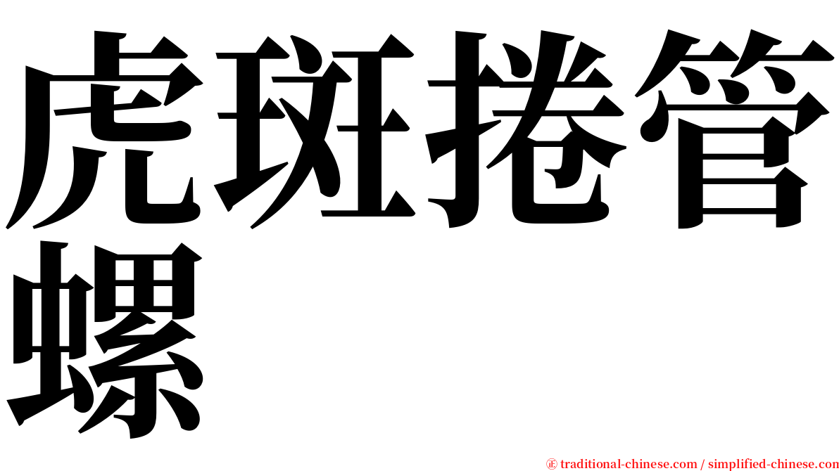 虎斑捲管螺 serif font