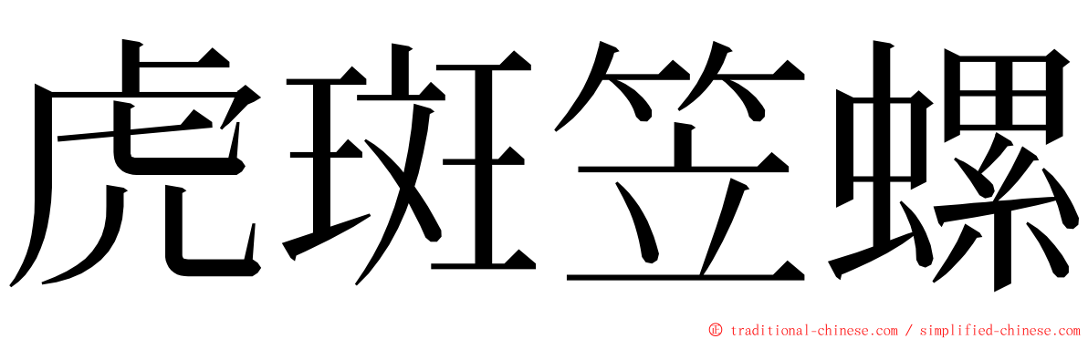 虎斑笠螺 ming font