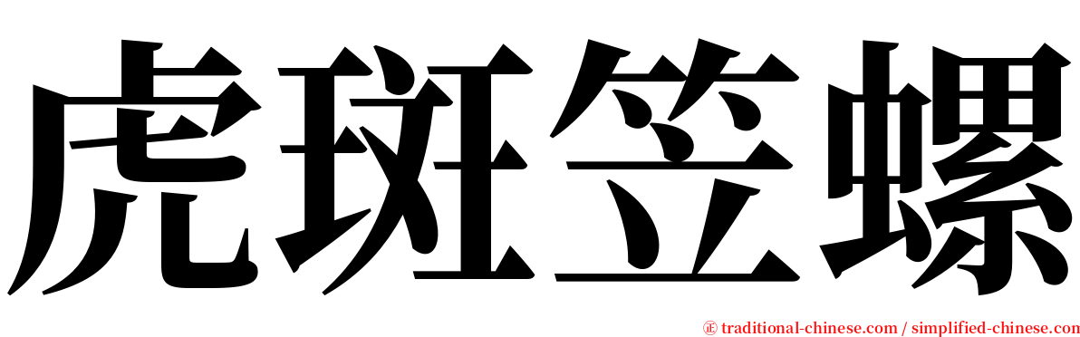 虎斑笠螺 serif font