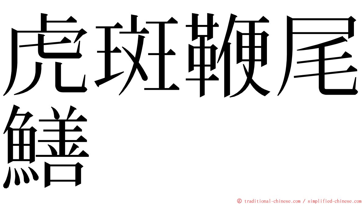 虎斑鞭尾鱔 ming font