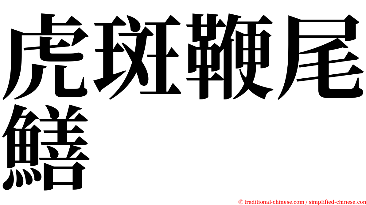 虎斑鞭尾鱔 serif font