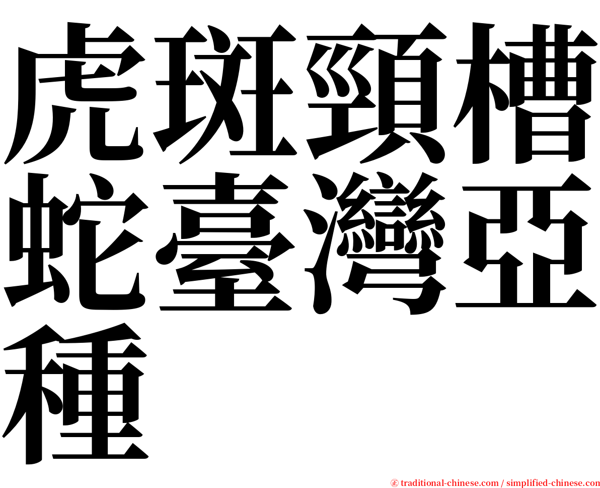 虎斑頸槽蛇臺灣亞種 serif font