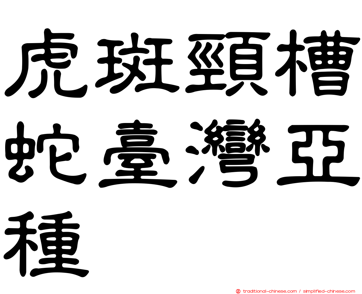 虎斑頸槽蛇臺灣亞種