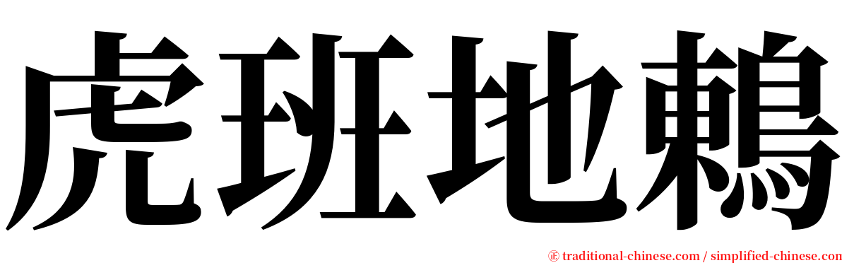 虎班地鶇 serif font