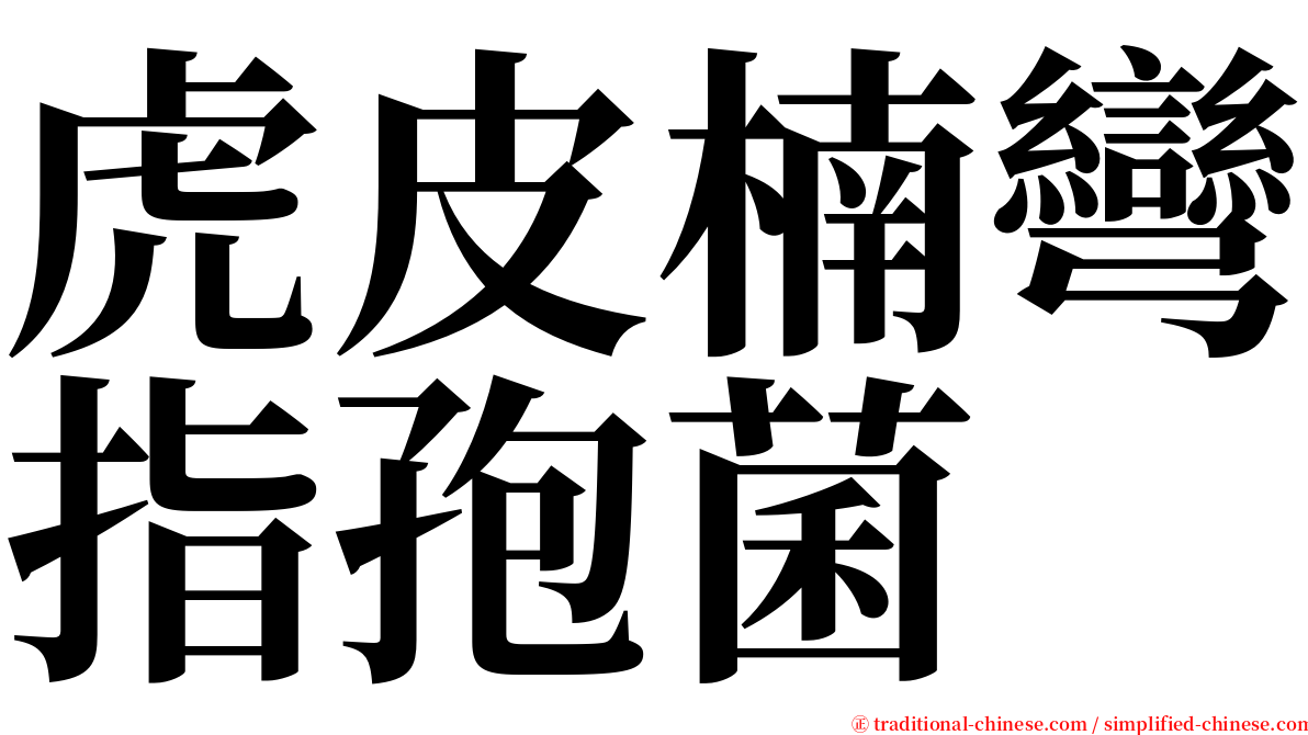 虎皮楠彎指孢菌 serif font