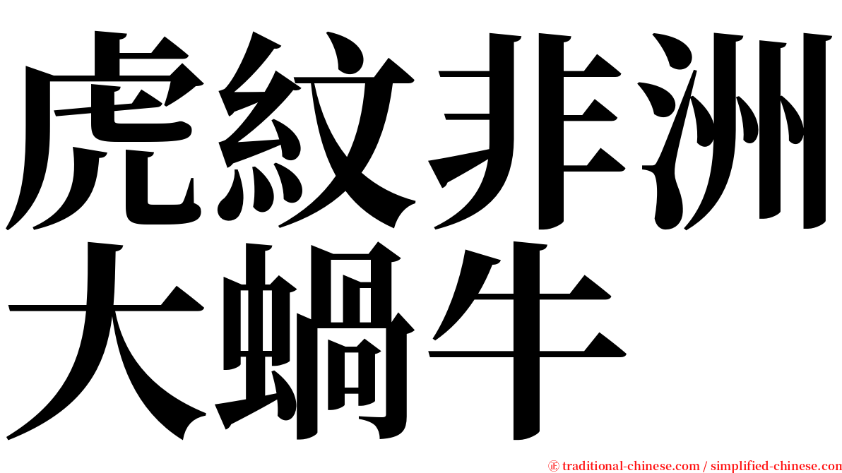 虎紋非洲大蝸牛 serif font