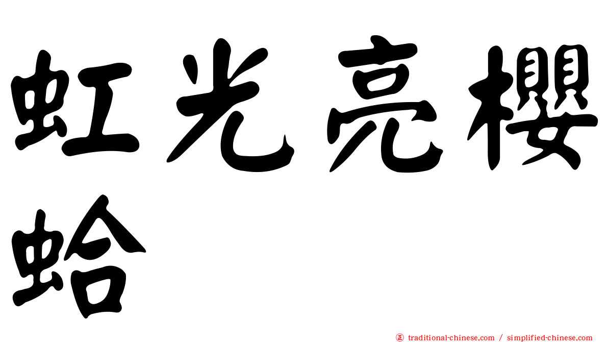 虹光亮櫻蛤