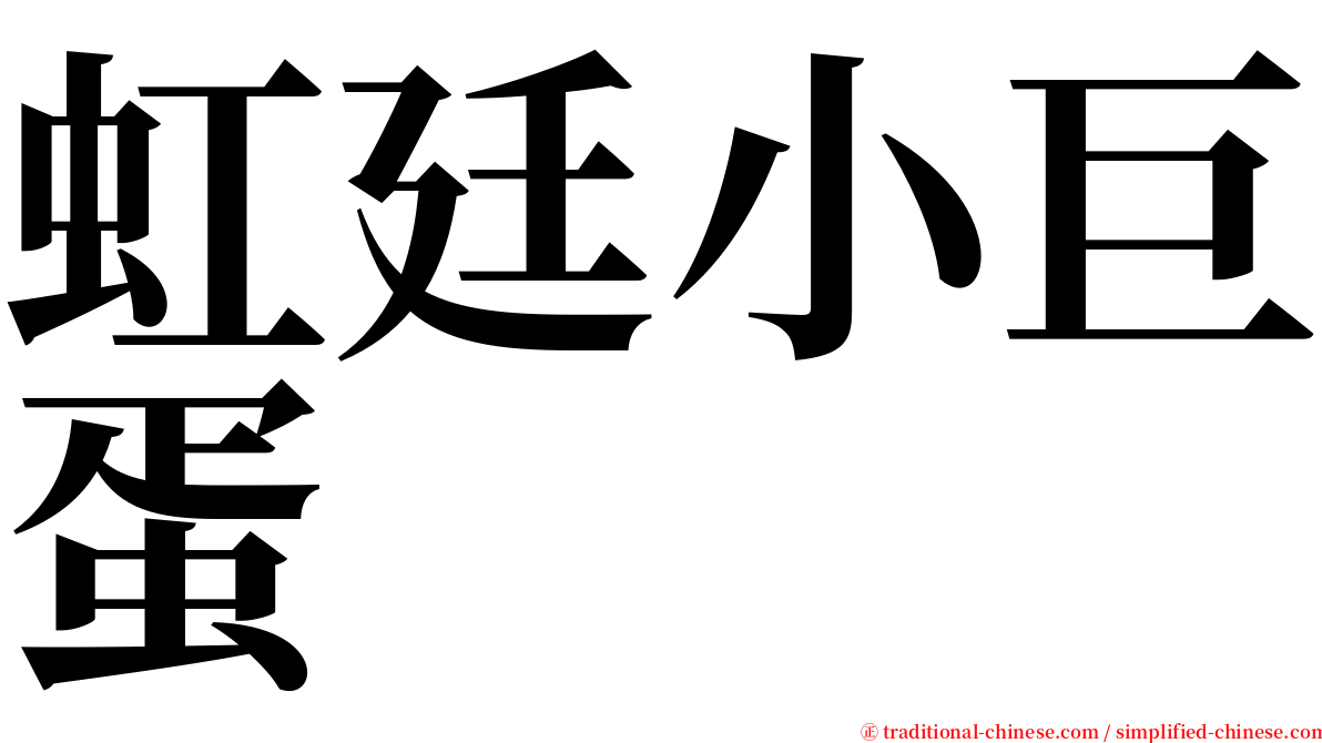 虹廷小巨蛋 serif font