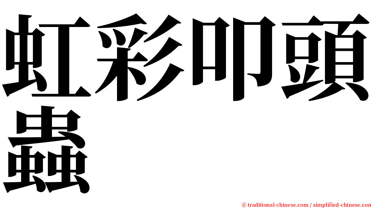 虹彩叩頭蟲 serif font