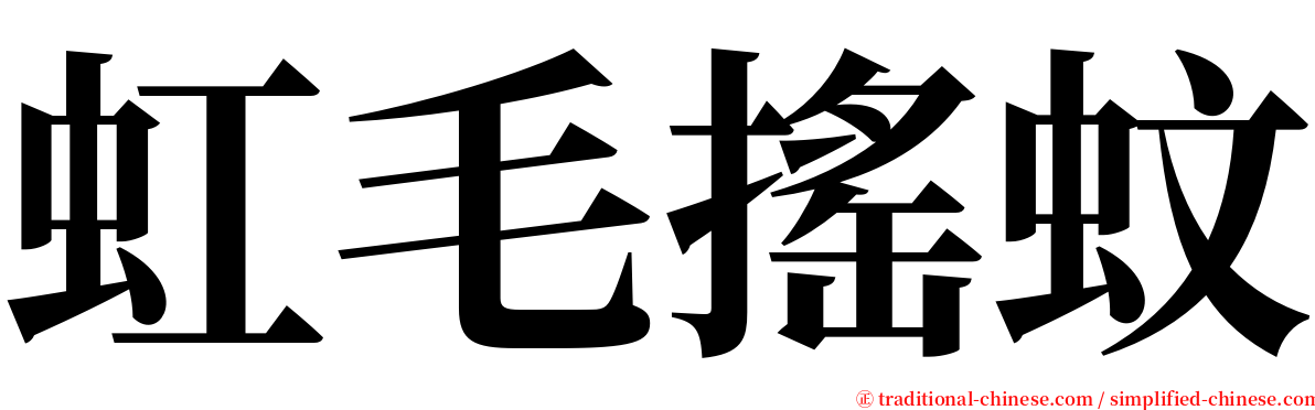 虹毛搖蚊 serif font