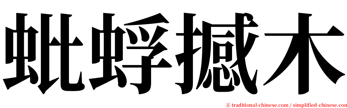 蚍蜉撼木 serif font