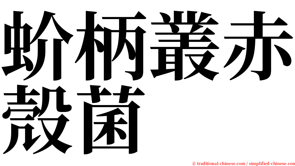 蚧柄叢赤殼菌 serif font