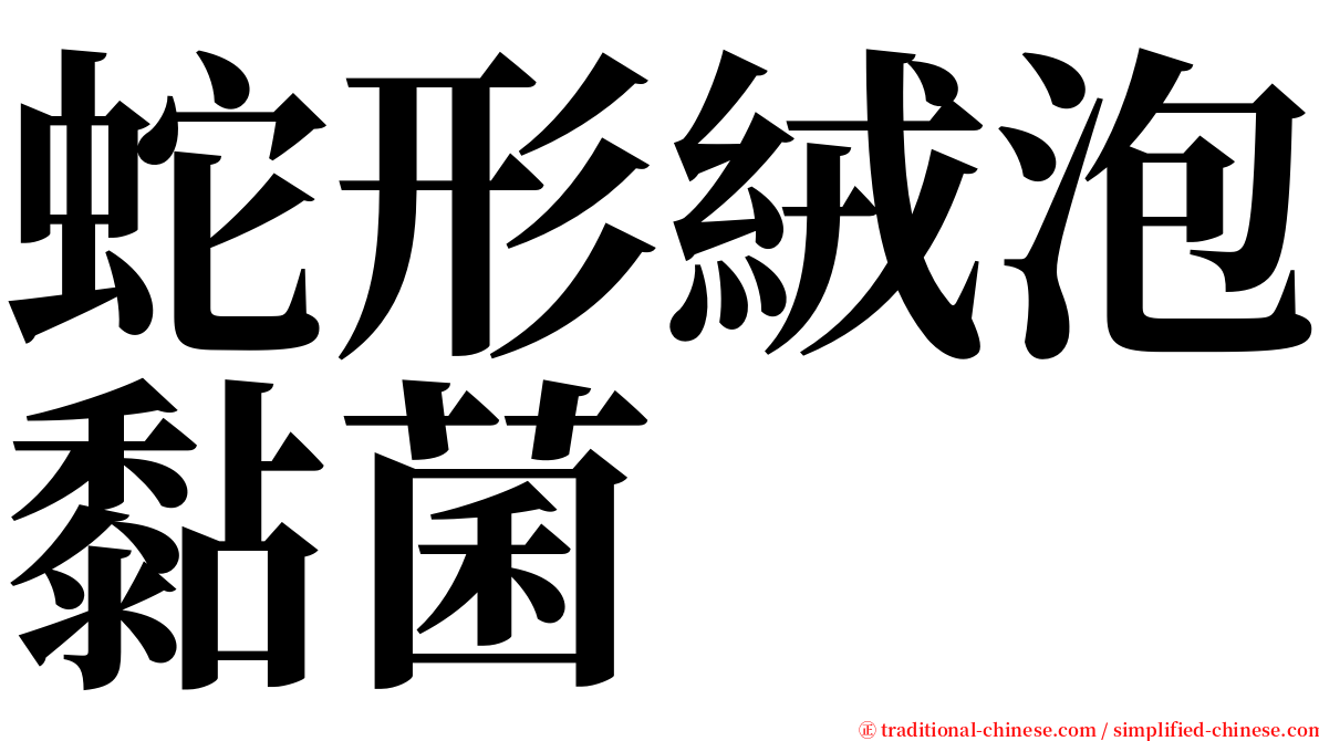 蛇形絨泡黏菌 serif font