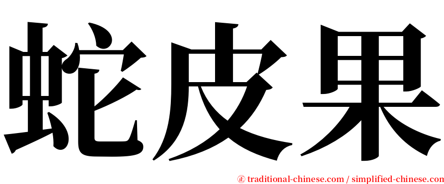 蛇皮果 serif font