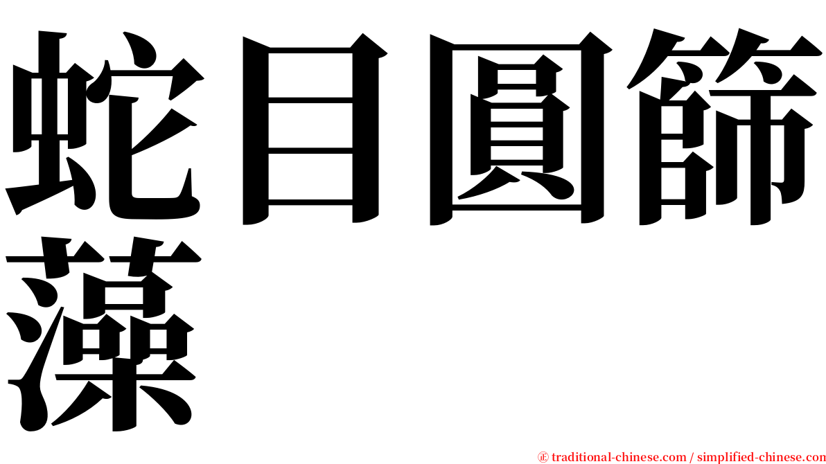 蛇目圓篩藻 serif font