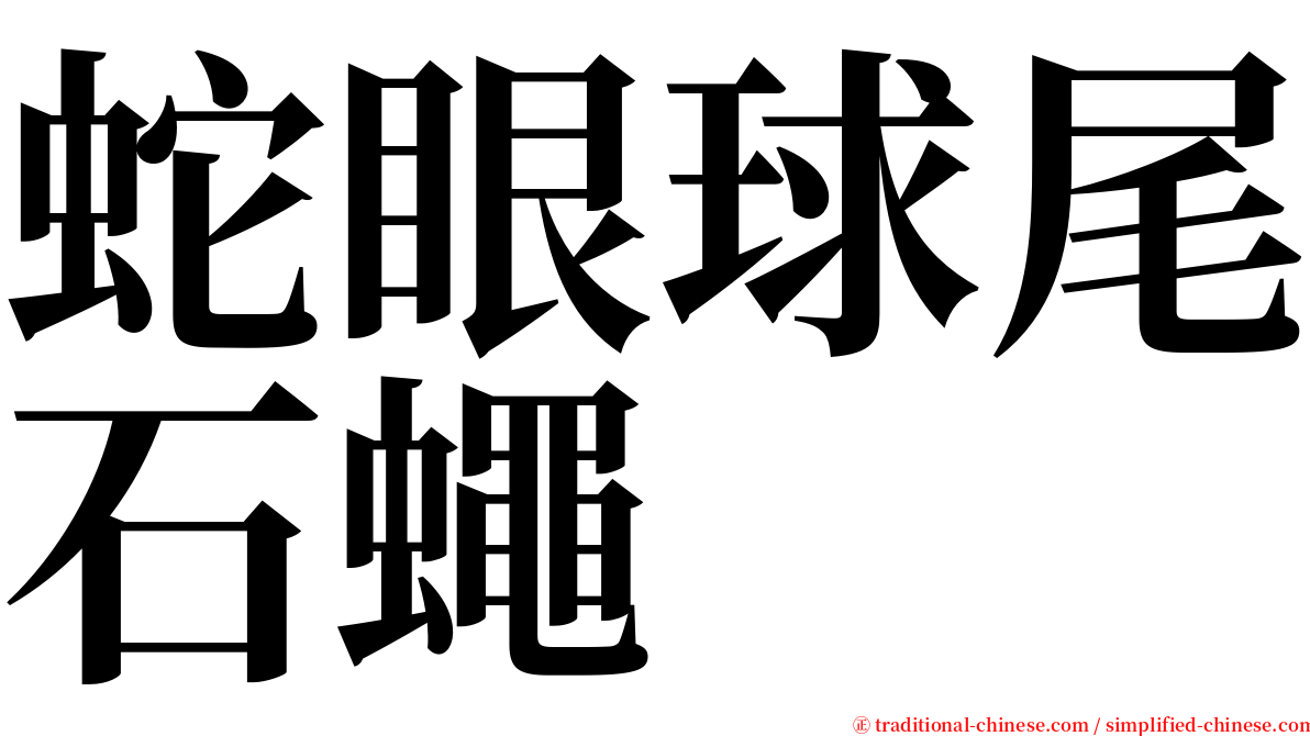 蛇眼球尾石蠅 serif font