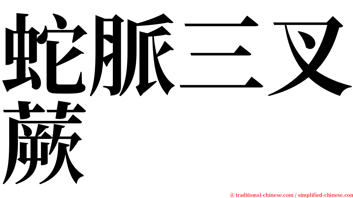 蛇脈三叉蕨 serif font