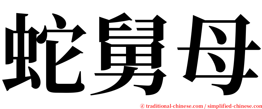 蛇舅母 serif font