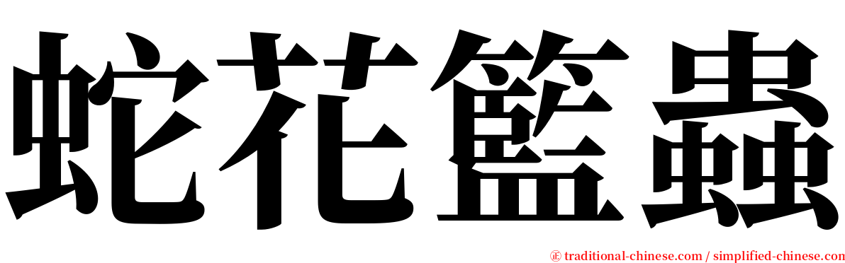 蛇花籃蟲 serif font