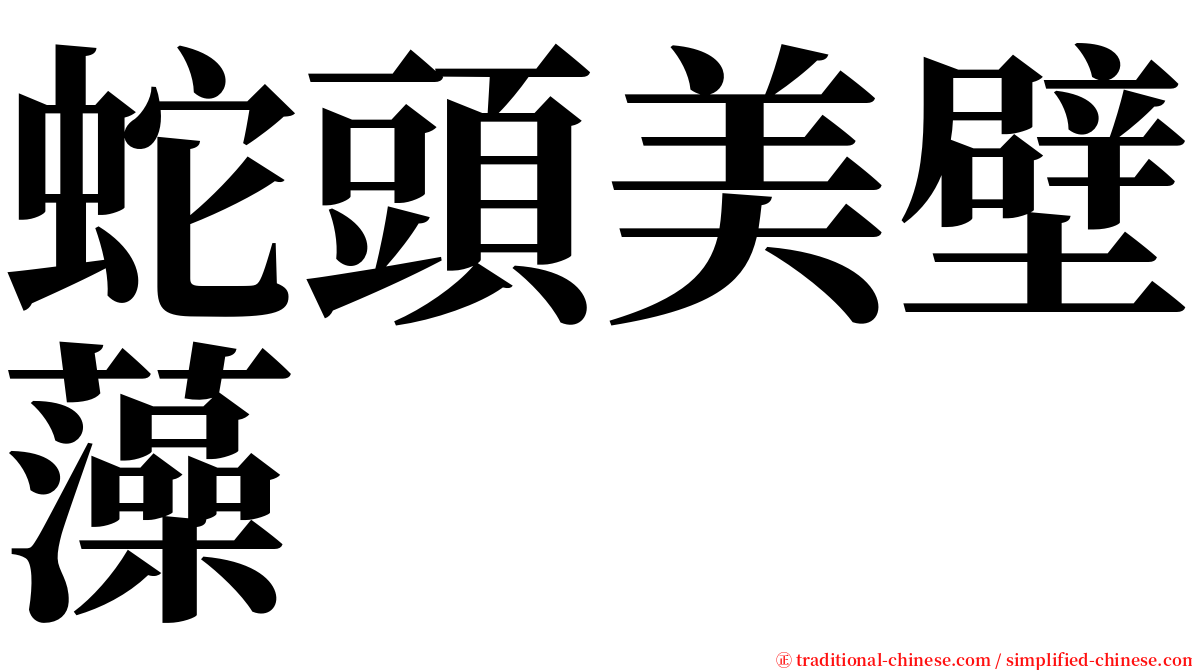 蛇頭美壁藻 serif font