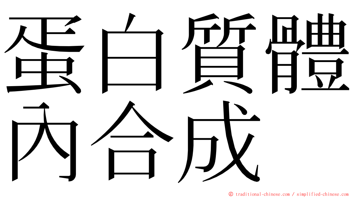 蛋白質體內合成 ming font