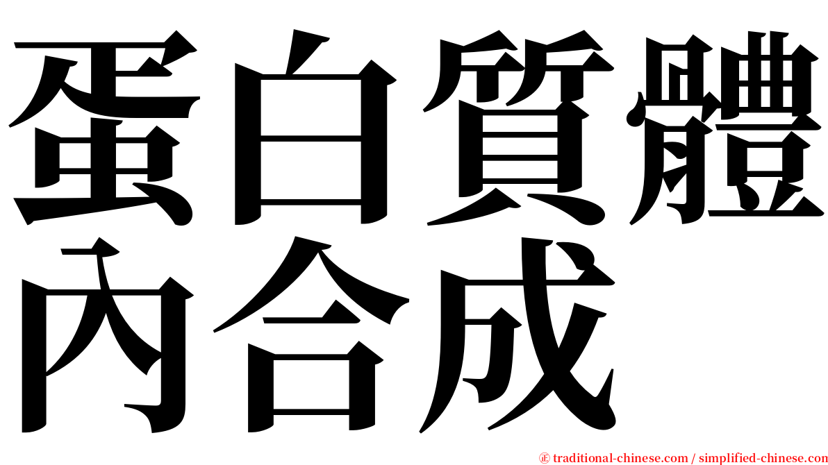 蛋白質體內合成 serif font