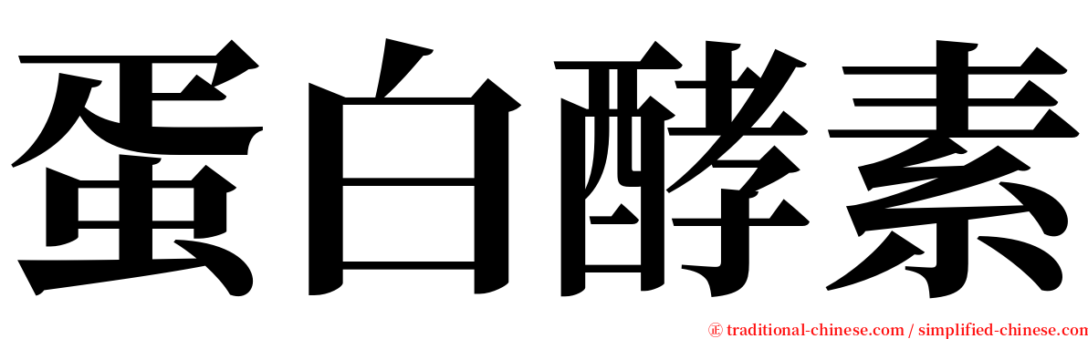 蛋白酵素 serif font