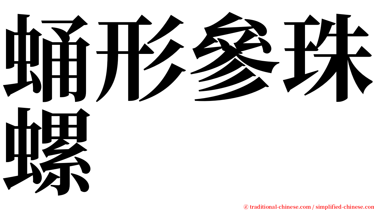 蛹形參珠螺 serif font