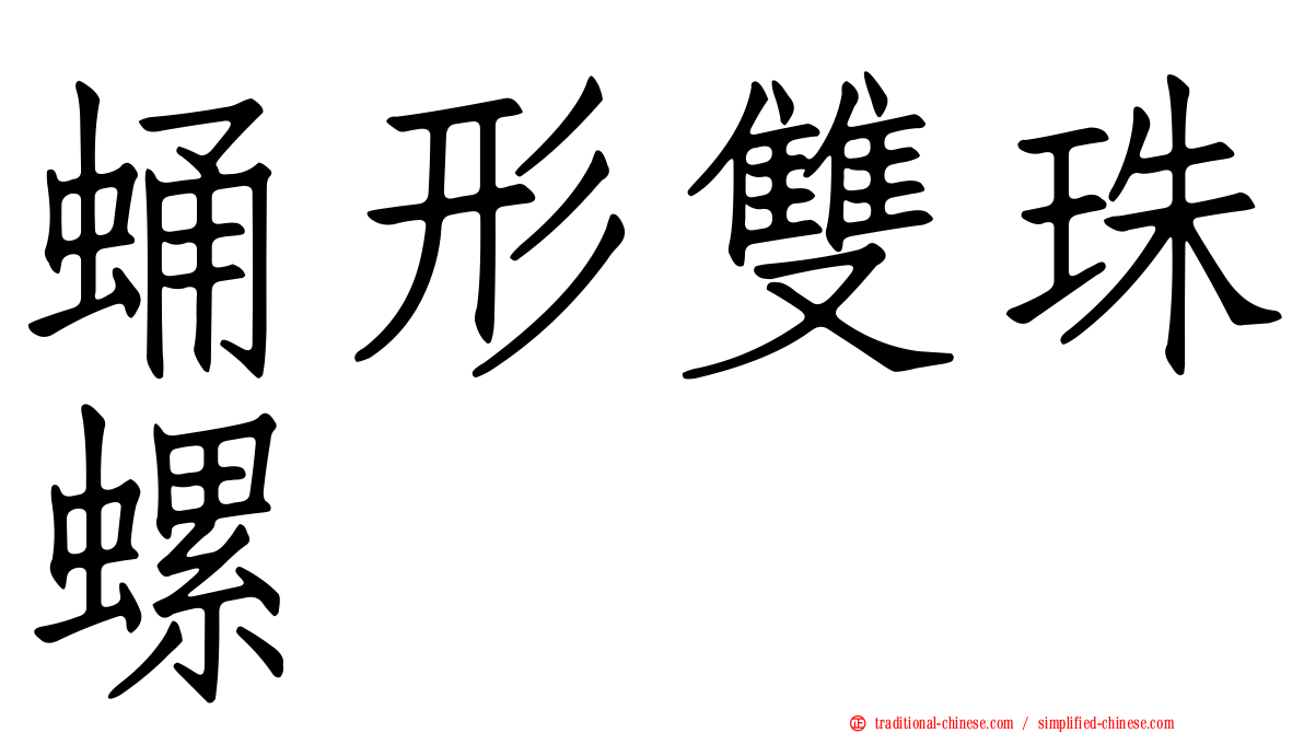 蛹形雙珠螺