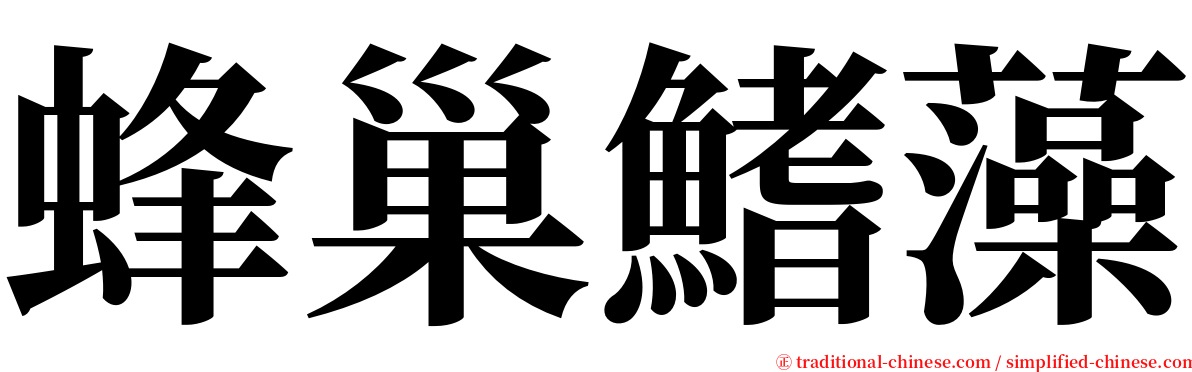 蜂巢鰭藻 serif font