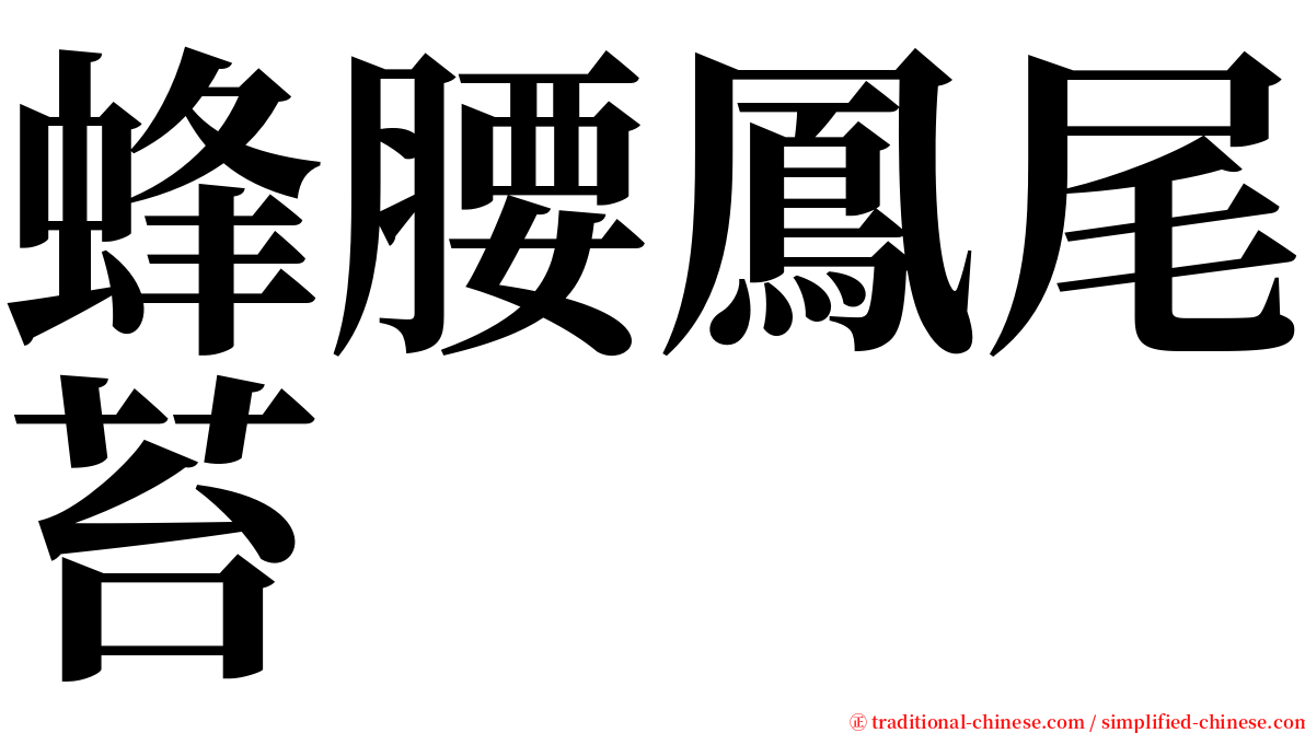 蜂腰鳳尾苔 serif font