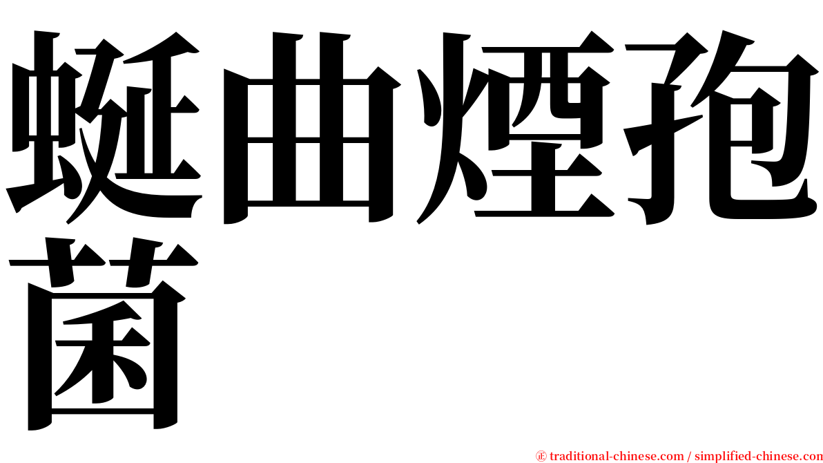 蜒曲煙孢菌 serif font