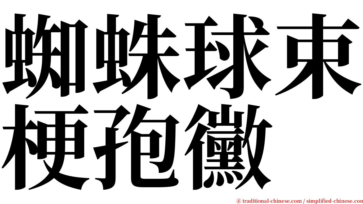 蜘蛛球束梗孢黴 serif font