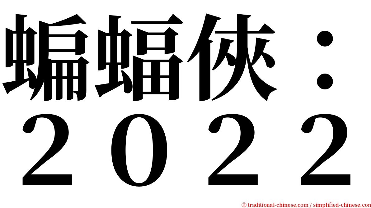 蝙蝠俠：２０２２ serif font