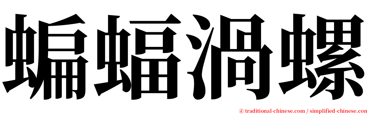 蝙蝠渦螺 serif font