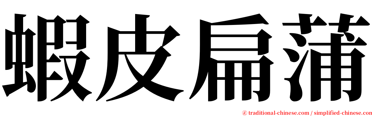 蝦皮扁蒲 serif font